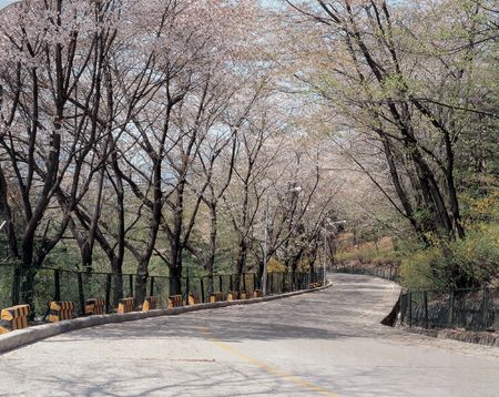 3-4Rural Roadの写真素材