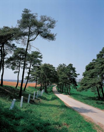 3-58Rural Roadの写真素材