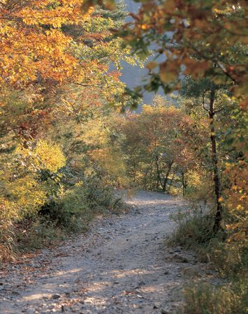 3-47Rural Roadの写真素材