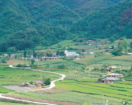 Rural Roadの写真素材
