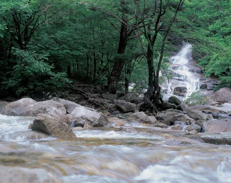 Waterfallの写真素材