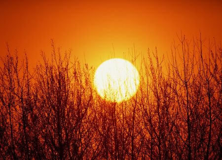 Sun Imageの写真素材