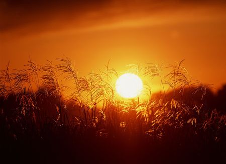 Sun Imageの写真素材