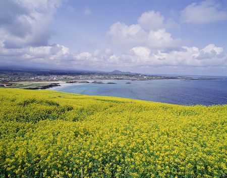 Mountain Viewの写真素材
