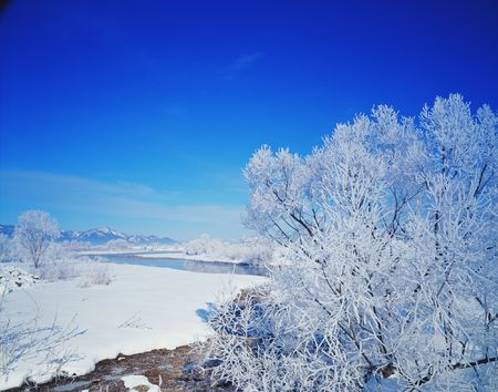 Snow-Scapeの写真素材
