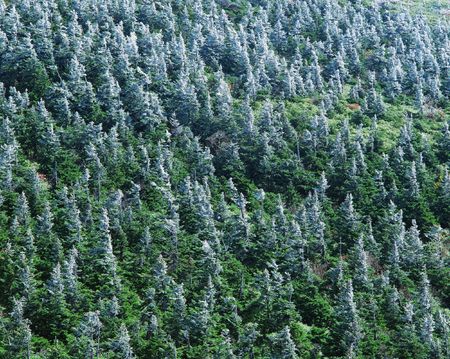 Snow-Scapeの写真素材