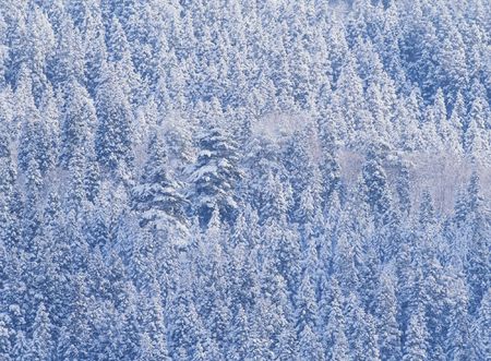 Snow-Scapeの写真素材