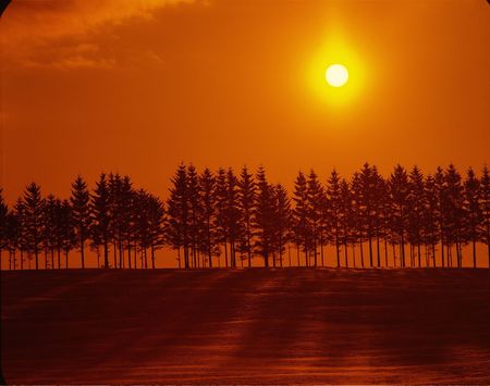 Sunsetの写真素材