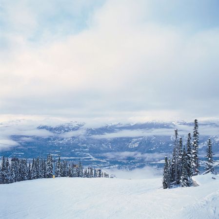 Winter Landscapeの写真素材