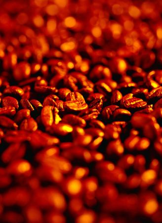 Coffee Beansの写真素材