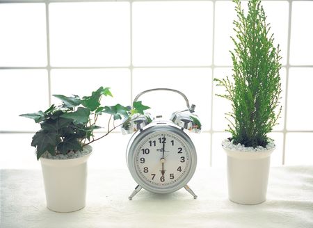 Morning Timeの写真素材