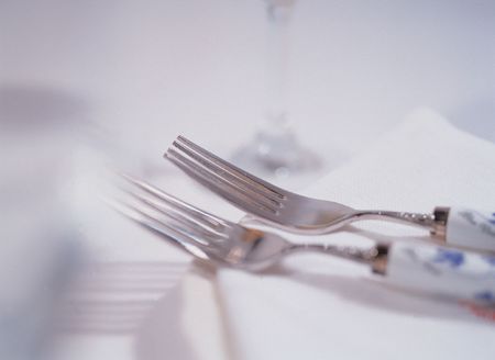 fork,の写真素材