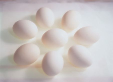 Fresh Eggの写真素材