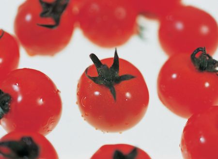 Fresh Tomatoesの写真素材