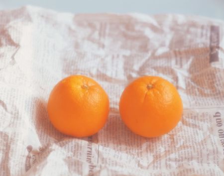 Fresh Orangesの写真素材