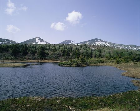 Nature Viewの写真素材