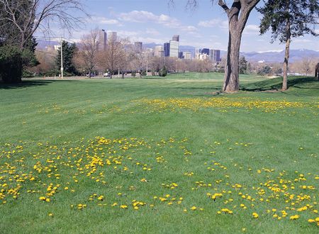 Nature Viewの写真素材