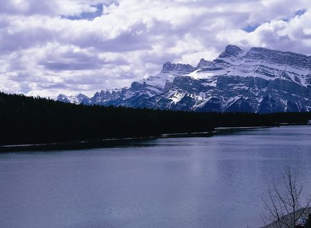 Nature Viewの写真素材