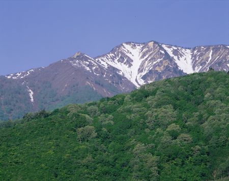 Nature Viewの写真素材