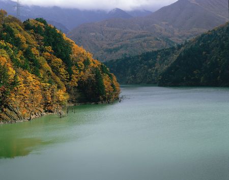 Nature Viewの写真素材