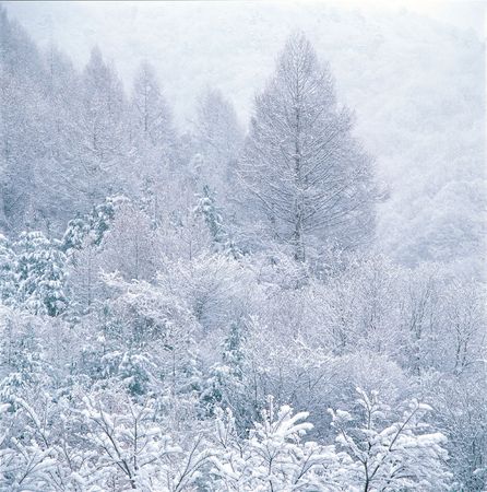 Korean Landscapeの写真素材