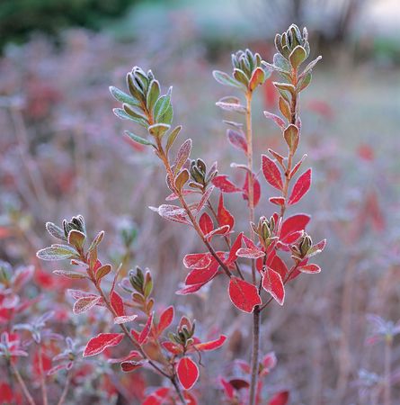 Wild Viewの写真素材