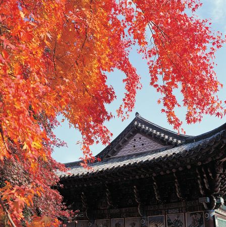 Beautiful Sceneryの写真素材