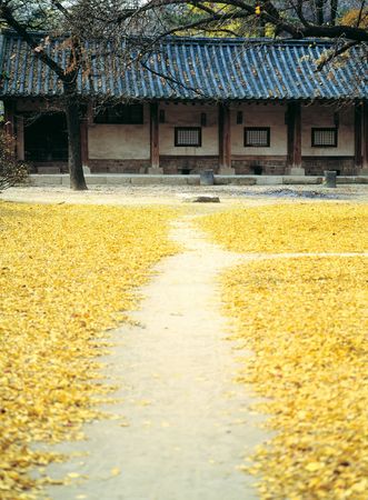 Korean Culture