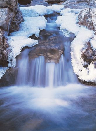Nature Viewの写真素材