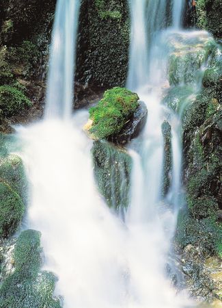 Nature Viewの写真素材