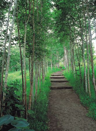 Nature Viewの写真素材