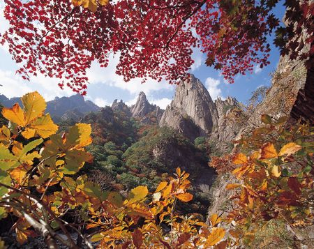 Nature Viewの写真素材