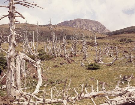 Nature Viewの写真素材