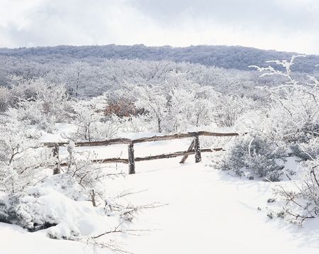 Nature Viewの写真素材