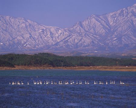 Nature Viewの写真素材