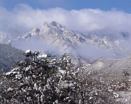 Nature Viewの写真素材