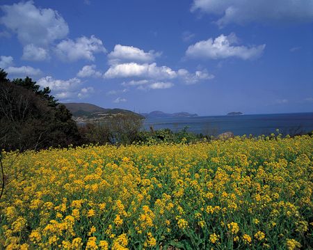 Nature Viewの写真素材