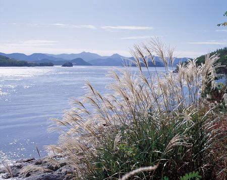 Nature Viewの写真素材
