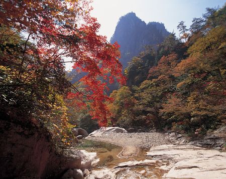 Nature Viewの写真素材