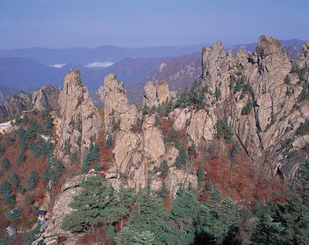 Nature Viewの写真素材