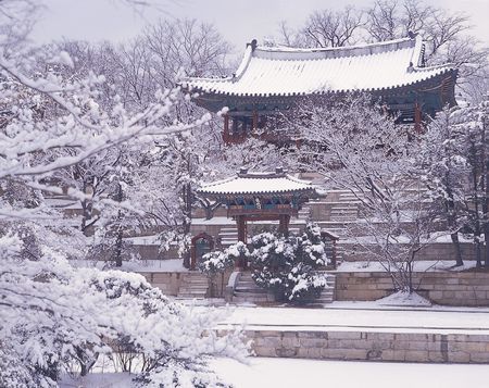 Korean Cultureの写真素材