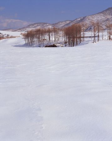 Nature Viewの写真素材