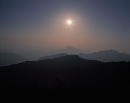 Nature Viewの写真素材