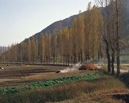 Country Viewの写真素材