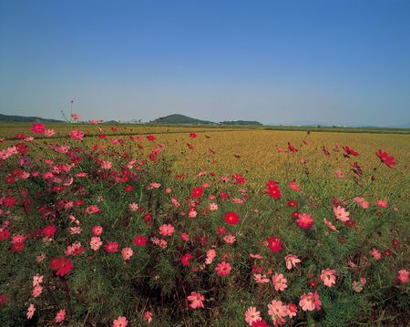 Country Viewの写真素材