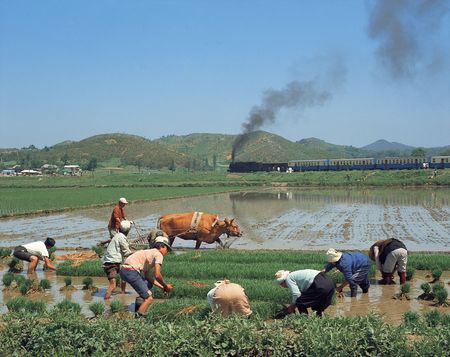 Country Viewの写真素材