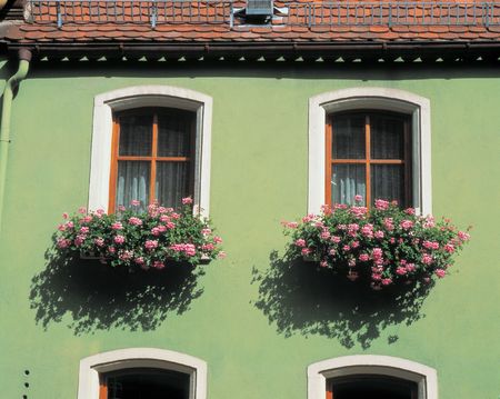 Windows with Flowersの写真素材
