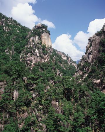 Rugged Mountain with Treesの写真素材