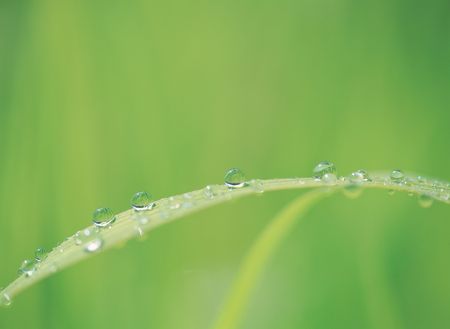 Waterdrops with Natureの写真素材
