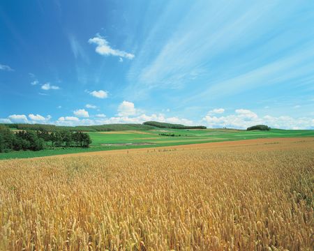 Eulalia and Cluodsの写真素材